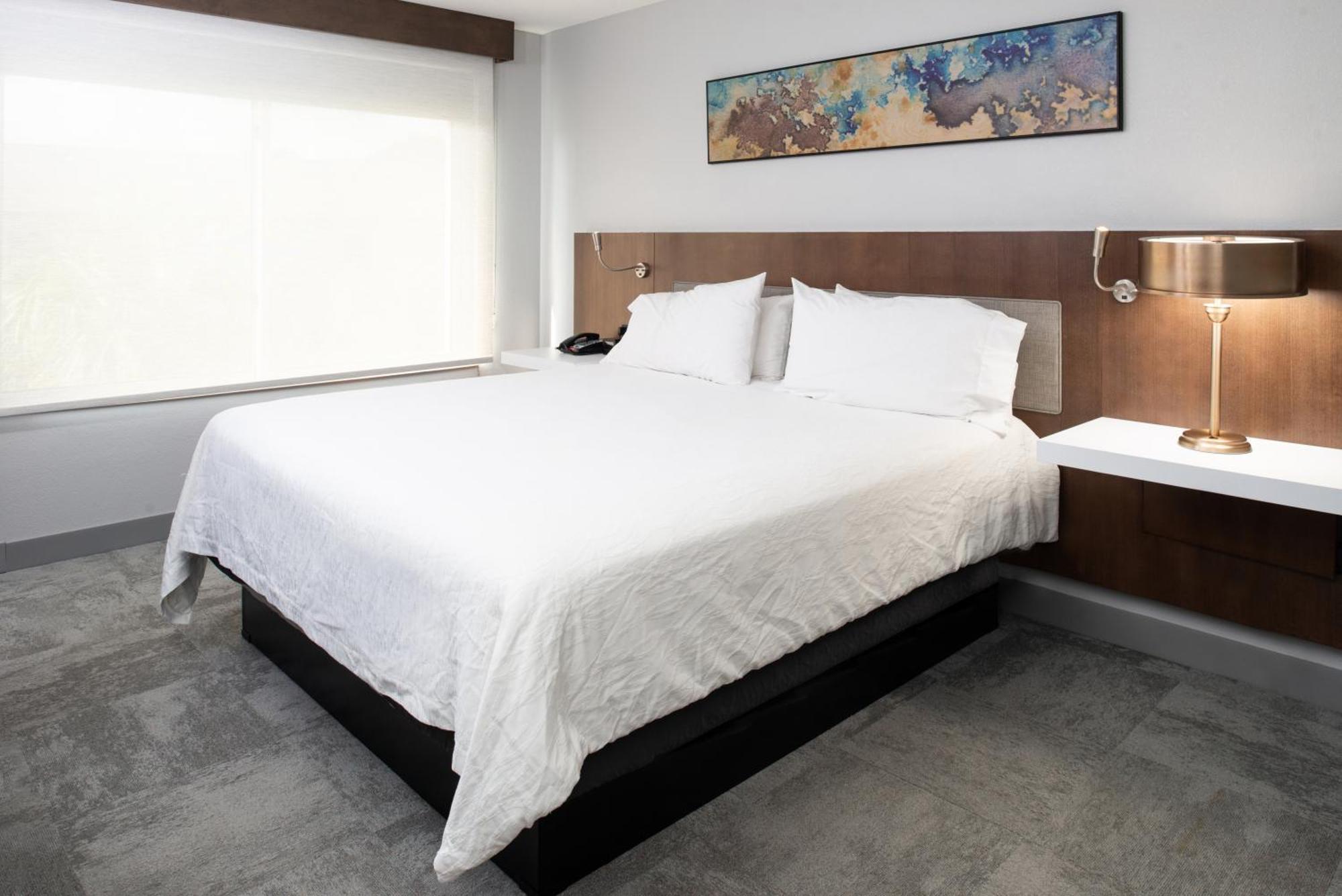 Hilton Garden Inn Baton Rouge Airport Ngoại thất bức ảnh